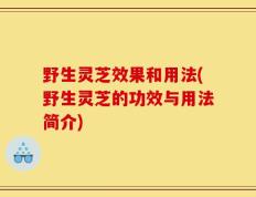 野生灵芝效果和用法(野生灵芝的功效与用法简介)