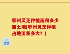 鄂州灵芝种植面积多少亩土地(鄂州灵芝种植占地面积多大？)