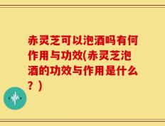 赤灵芝可以泡酒吗有何作用与功效(赤灵芝泡酒的功效与作用是什么？)