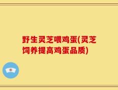 野生灵芝喂鸡蛋(灵芝饲养提高鸡蛋品质)