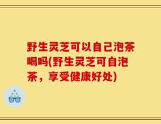 野生灵芝可以自己泡茶喝吗(野生灵芝可自泡茶，享受健康好处)