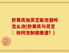 野黄芪加灵芝能泡酒吗怎么泡(野黄芪与灵芝：如何泡制健康酒？)