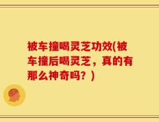 被车撞喝灵芝功效(被车撞后喝灵芝，真的有那么神奇吗？)
