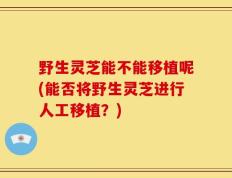 野生灵芝能不能移植呢(能否将野生灵芝进行人工移植？)