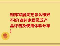 迦邦家居灵芝怎么样好不好(迦邦家居灵芝产品评测及使用体验分享)