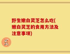 野生嫩白灵芝怎么吃(嫩白灵芝的食用方法及注意事项)