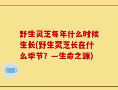 野生灵芝每年什么时候生长(野生灵芝长在什么季节？—生命之源)