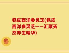 铁皮西洋参灵芝(铁皮西洋参灵芝——汇聚天然养生精华)