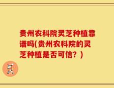 贵州农科院灵芝种植靠谱吗(贵州农科院的灵芝种植是否可信？)