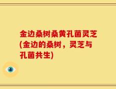 金边桑树桑黄孔菌灵芝(金边的桑树，灵芝与孔菌共生)