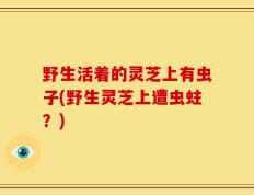 野生活着的灵芝上有虫子(野生灵芝上遭虫蛀？)