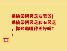 采摘带柄灵芝石灵芝(采摘带柄灵芝和石灵芝，你知道哪种更好吗？)