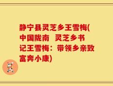 静宁县灵芝乡王雪梅(中国陇南  灵芝乡书记王雪梅：带领乡亲致富奔小康)