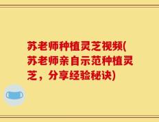 苏老师种植灵芝视频(苏老师亲自示范种植灵芝，分享经验秘诀)