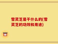 雪灵芝是干什么的(雪灵芝的功效和用途)