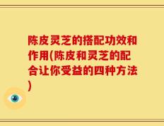 陈皮灵芝的搭配功效和作用(陈皮和灵芝的配合让你受益的四种方法)