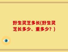 野生灵芝多长(野生灵芝长多少、重多少？)