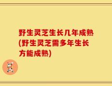 野生灵芝生长几年成熟(野生灵芝需多年生长方能成熟)