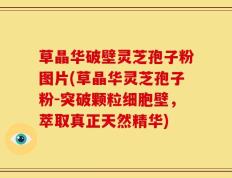 草晶华破壁灵芝孢子粉图片(草晶华灵芝孢子粉-突破颗粒细胞壁，萃取真正天然精华)