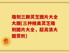 雕刻三颗灵芝图片大全大图(三种精美灵芝雕刻图片大全，超高清大图赏析)