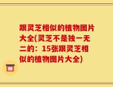 跟灵芝相似的植物图片大全(灵芝不是独一无二的：15张跟灵芝相似的植物图片大全)