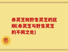 赤灵芝和野生灵芝的区别(赤灵芝与野生灵芝的不同之处)