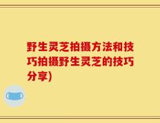 野生灵芝拍摄方法和技巧拍摄野生灵芝的技巧分享)