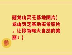 题龙山灵芝基地图片(龙山灵芝基地实景照片，让你领略大自然的美丽！)