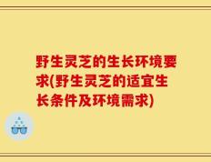 野生灵芝的生长环境要求(野生灵芝的适宜生长条件及环境需求)