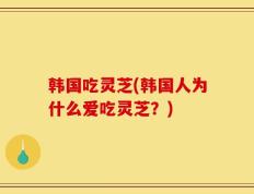 韩国吃灵芝(韩国人为什么爱吃灵芝？)