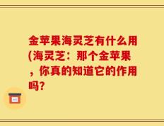 金苹果海灵芝有什么用(海灵芝：那个金苹果，你真的知道它的作用吗？