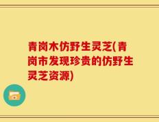 青岗木仿野生灵芝(青岗市发现珍贵的仿野生灵芝资源)