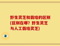 野生灵芝和栽培的区别(区别在哪？野生灵芝与人工栽培灵芝)