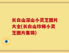 长白山深山小灵芝图片大全(长白山珍稀小灵芝图片集锦)
