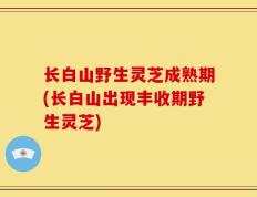 长白山野生灵芝成熟期(长白山出现丰收期野生灵芝)