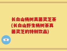 长白山杨树真菌灵芝茶(长白山野生杨树茶真菌灵芝的特别饮品)