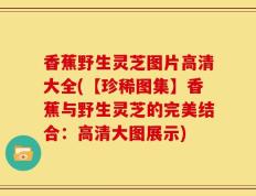 香蕉野生灵芝图片高清大全(【珍稀图集】香蕉与野生灵芝的完美结合：高清大图展示)