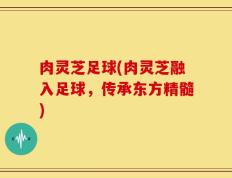 肉灵芝足球(肉灵芝融入足球，传承东方精髓)