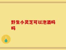 野生小灵芝可以泡酒吗吗