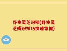 野生灵芝识别(野生灵芝辨识技巧快速掌握)