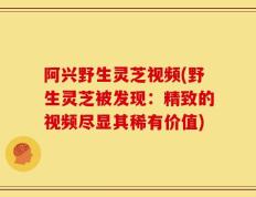 阿兴野生灵芝视频(野生灵芝被发现：精致的视频尽显其稀有价值)