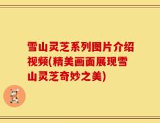 雪山灵芝系列图片介绍视频(精美画面展现雪山灵芝奇妙之美)