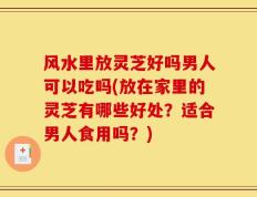 风水里放灵芝好吗男人可以吃吗(放在家里的灵芝有哪些好处？适合男人食用吗？)