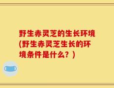 野生赤灵芝的生长环境(野生赤灵芝生长的环境条件是什么？)