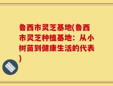 鲁西市灵芝基地(鲁西市灵芝种植基地：从小树苗到健康生活的代表)