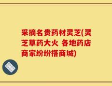 采摘名贵药材灵芝(灵芝草药大火 各地药店商家纷纷搭商城)