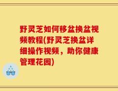 野灵芝如何移盆换盆视频教程(野灵芝换盆详细操作视频，助你健康管理花园)