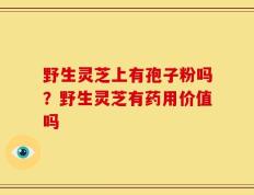 野生灵芝上有孢子粉吗？野生灵芝有药用价值吗