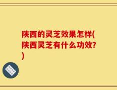陕西的灵芝效果怎样(陕西灵芝有什么功效？)