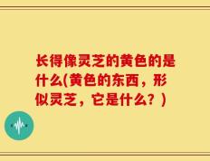 长得像灵芝的黄色的是什么(黄色的东西，形似灵芝，它是什么？)